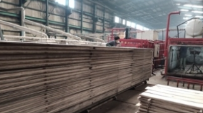 吉林木材真空干燥设备：技术产业革新